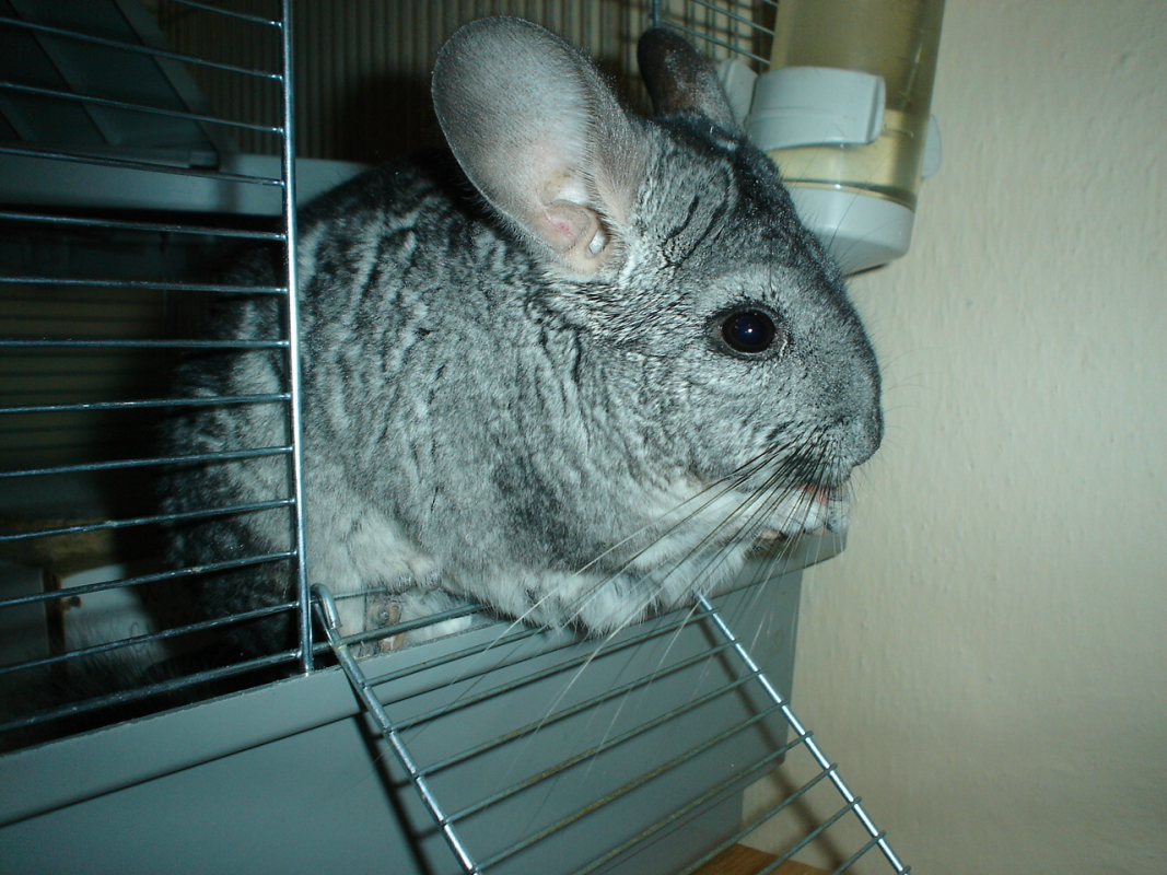 DSC00745.JPG