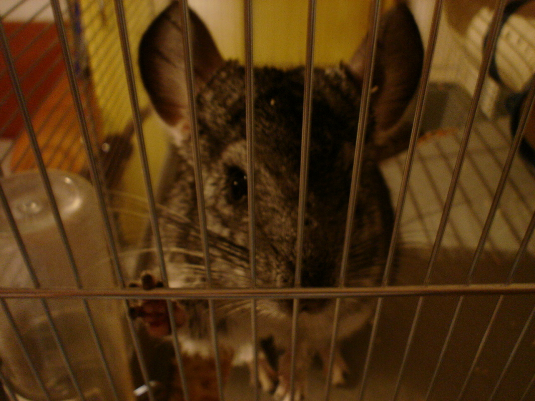 DSC09526.JPG
