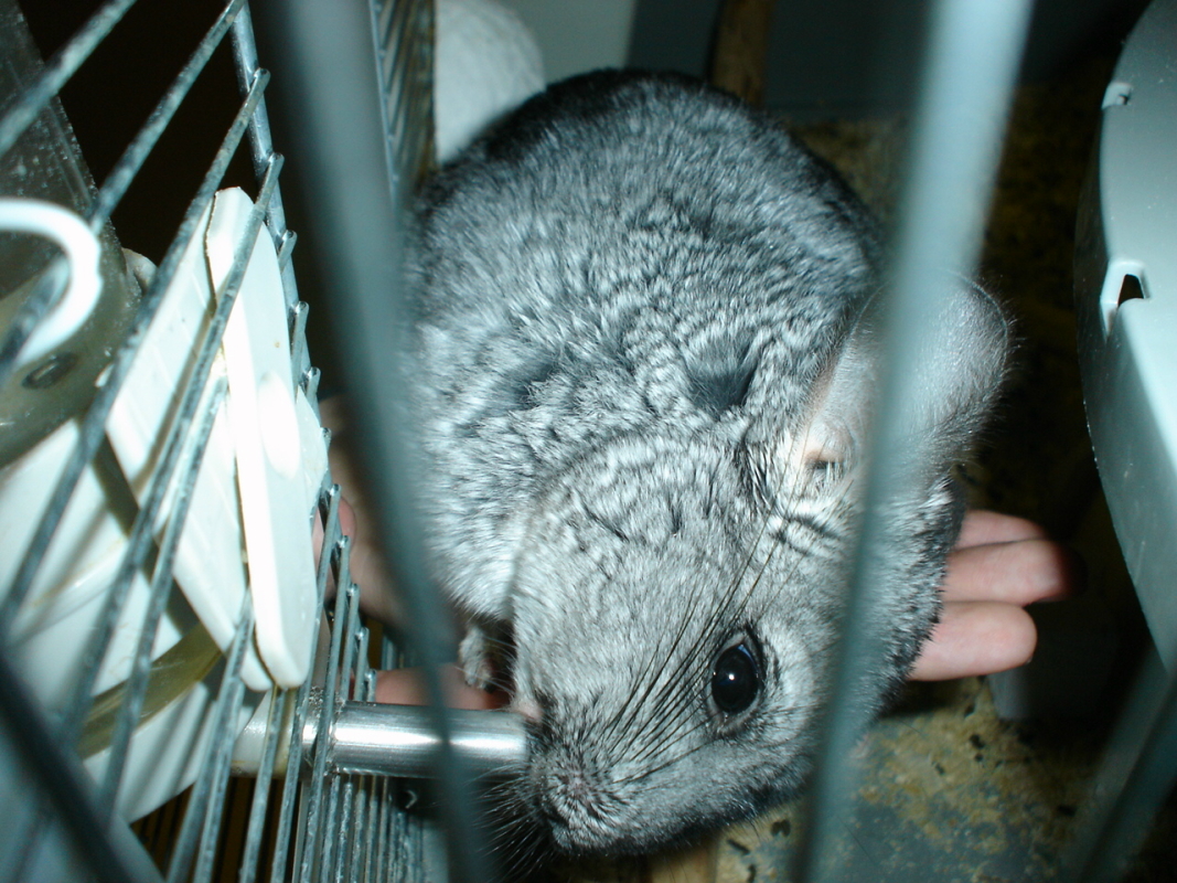 DSC01178.JPG