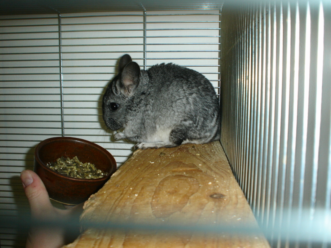 DSC01193.JPG