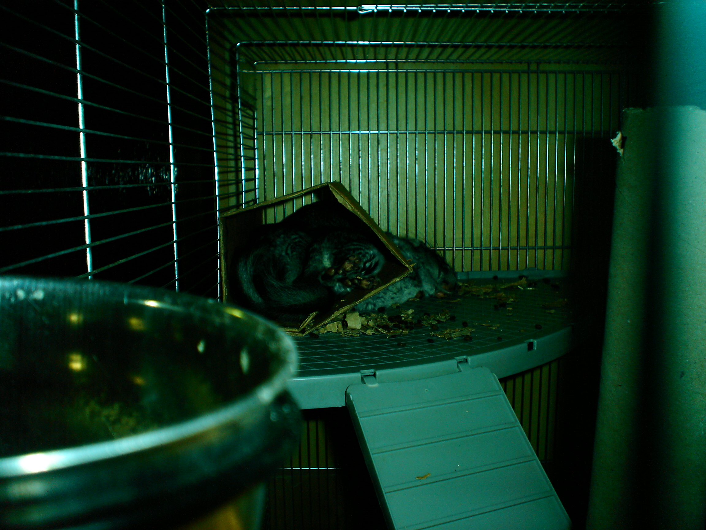 DSC01346.JPG