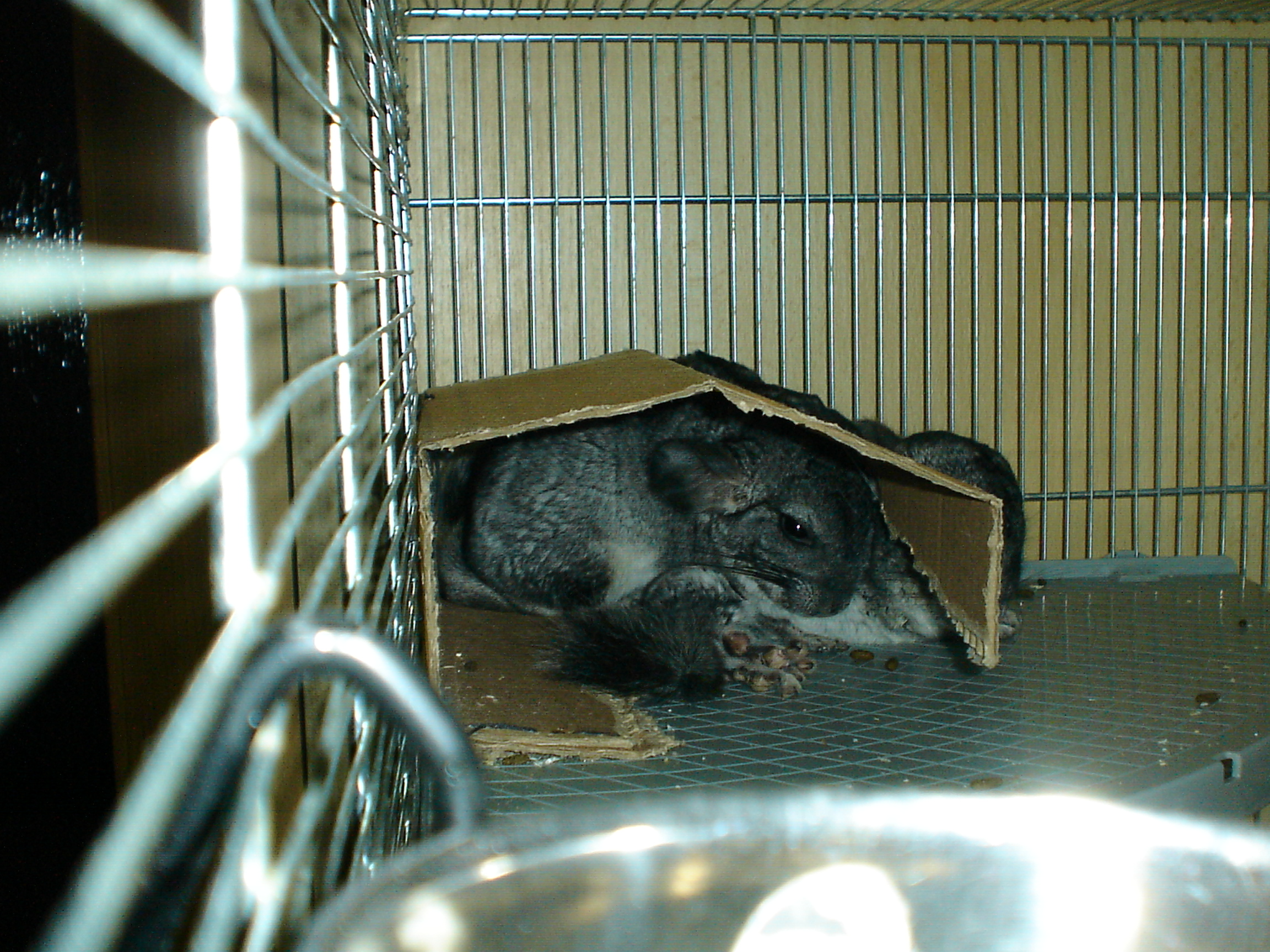 DSC01358.JPG
