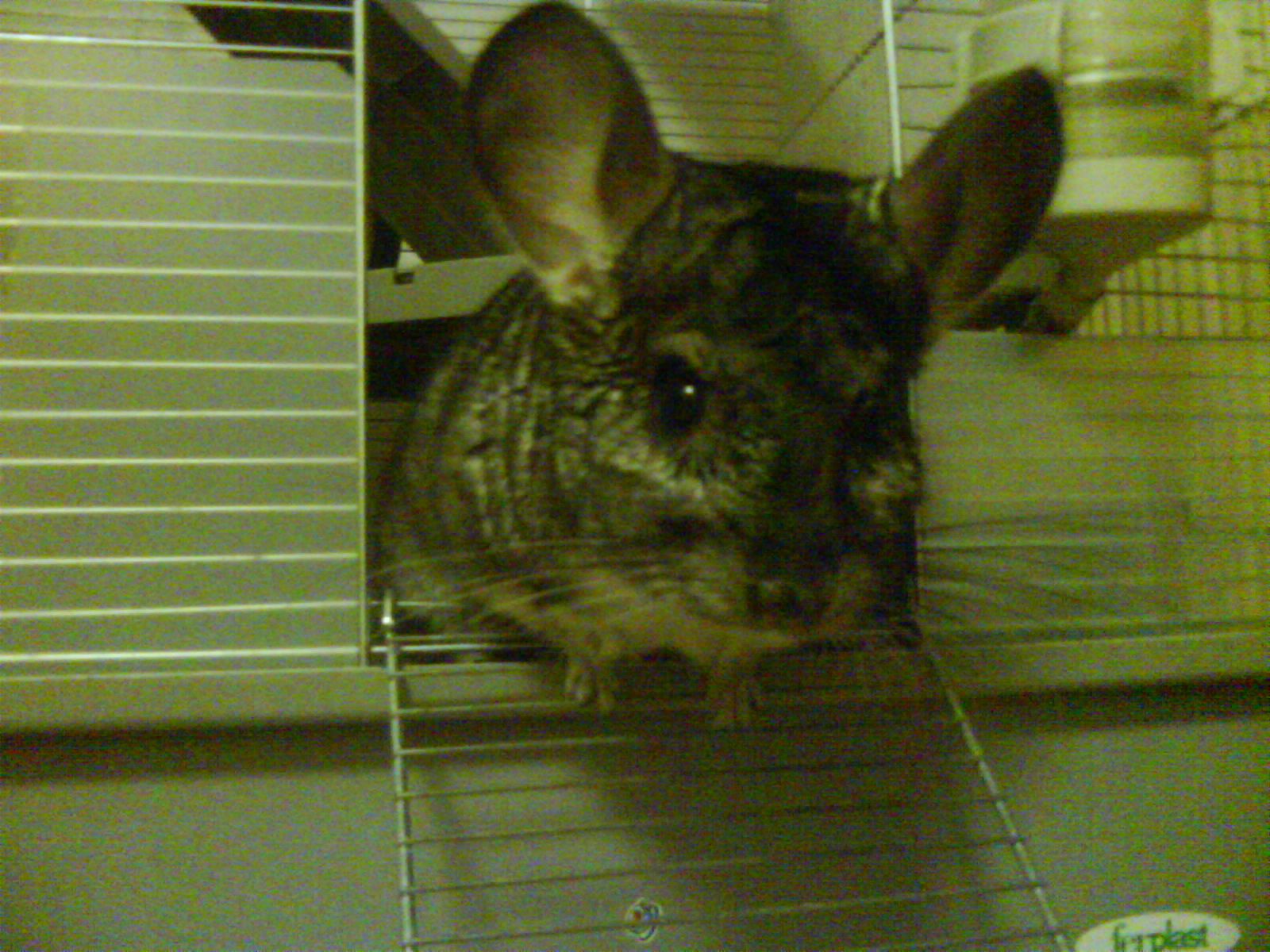 DSC00002.JPG