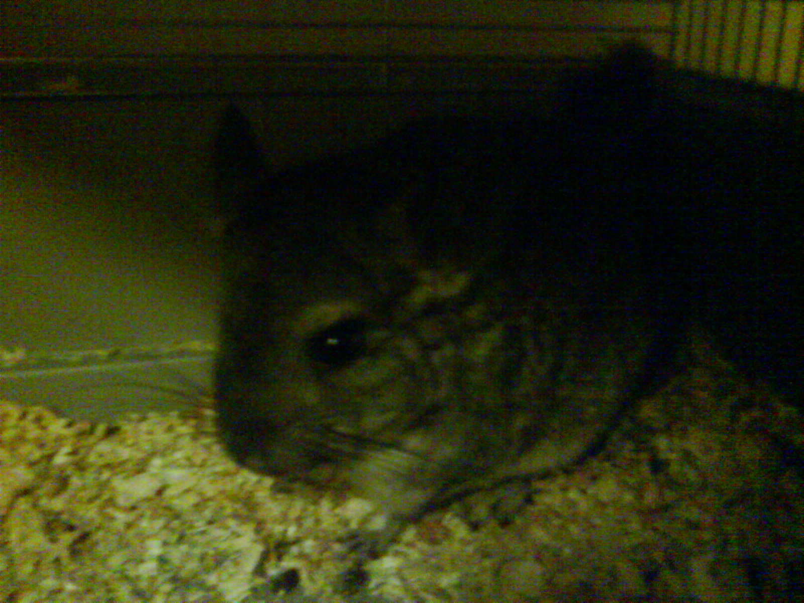 DSC00024.JPG