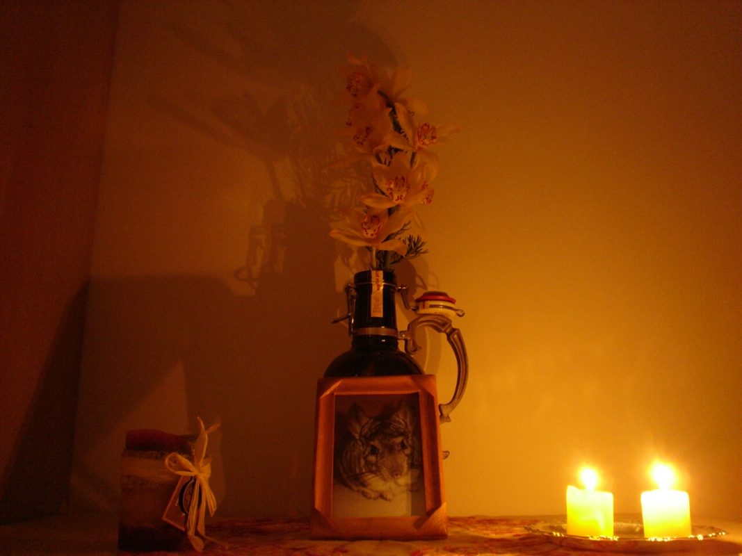 DSC00926.JPG