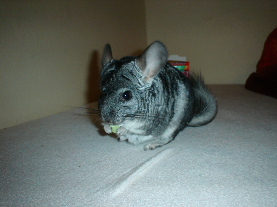 DSC00836.JPG