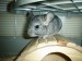 DSC01191.JPG