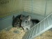 DSC00930.JPG