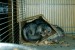 DSC01343.JPG