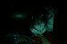 DSC01320.JPG