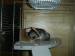 DSC01356.JPG