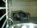 DSC01358.JPG