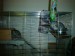 DSC01362.JPG