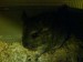DSC00024.JPG